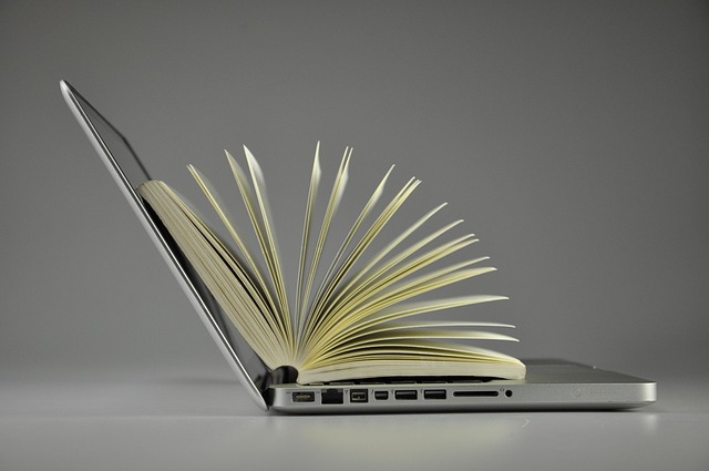 Online-Valuation