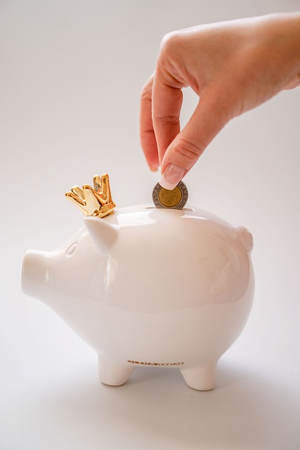 Maximize Profits: Navigating Risks in Real Estate