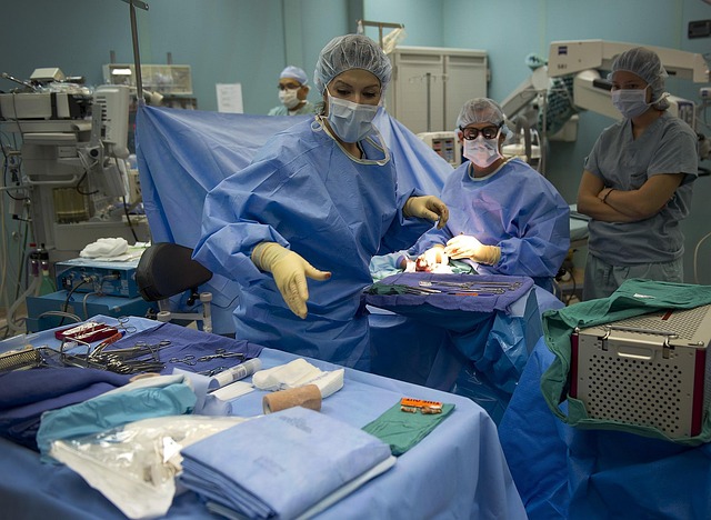 Operating-Budget