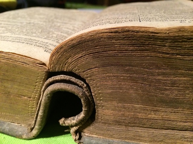 Page