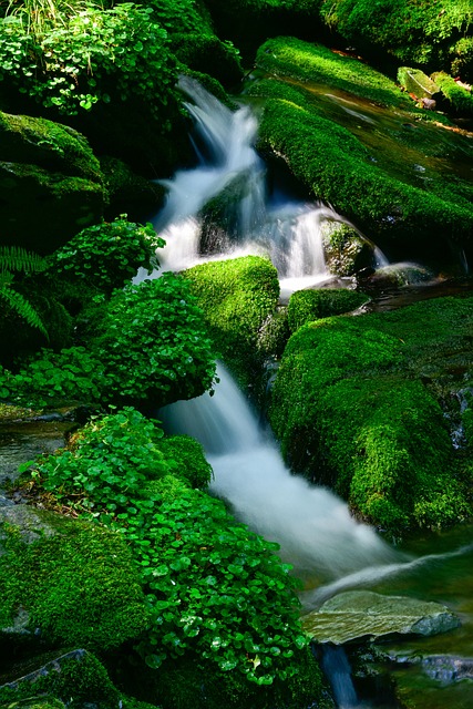 Paradise Valley