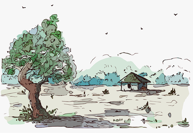 Paradise Valley