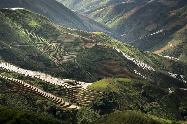 Paradise Valley