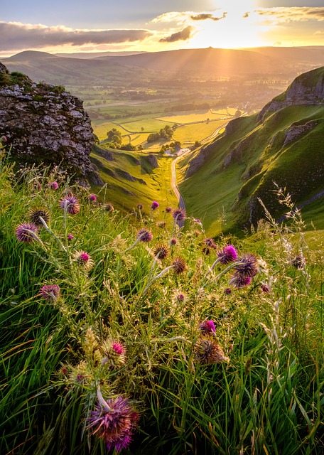 paradise-valley-640x480-81216495.jpeg
