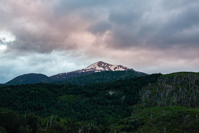 Patagonia