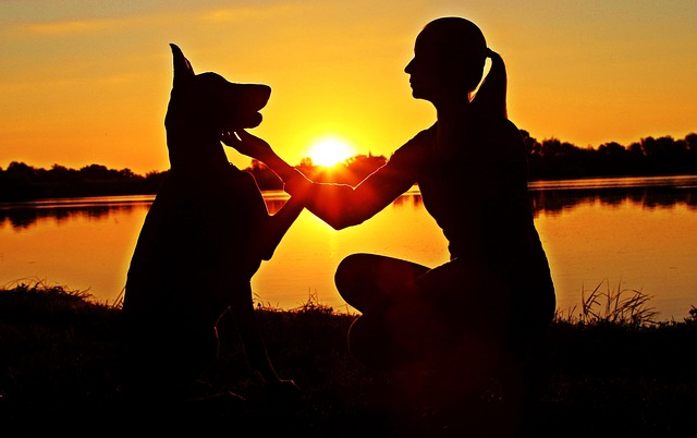 Building Family Bonds: Real Estate for Welcoming Homes