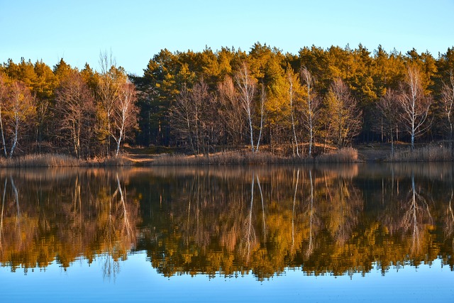 pinetop-lakeside-640x480-29910565.jpeg