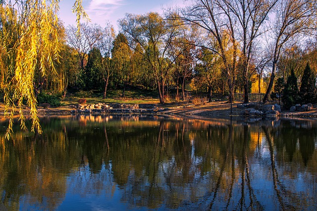Pinetop-Lakeside