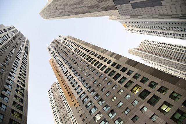 Unleashing Sales: Competitive Bidding in Real Estate Accelerates Success