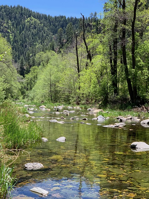 Queen Creek