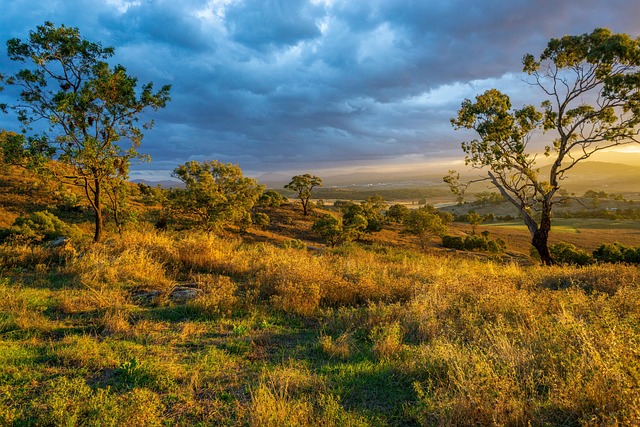 Sierra Vista