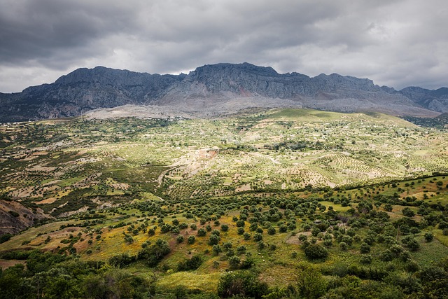 Sierra Vista