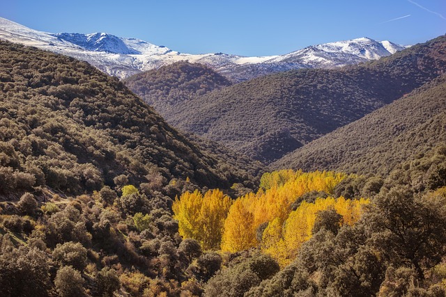 Sierra Vista