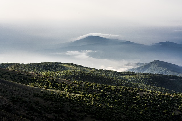 Sierra Vista