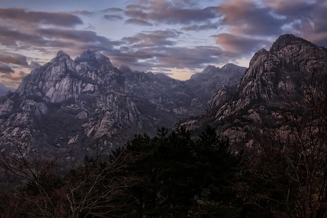 Sierra Vista