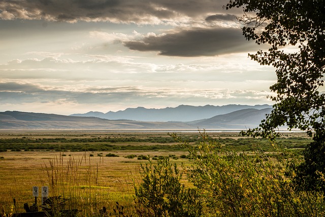 Sierra Vista