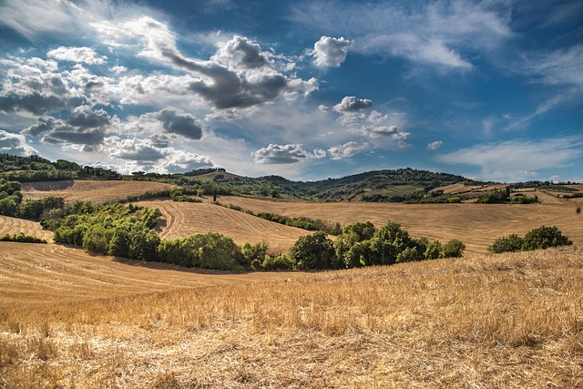 sierra-vista-640x480-67770103.jpeg