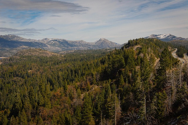 Sierra Vista