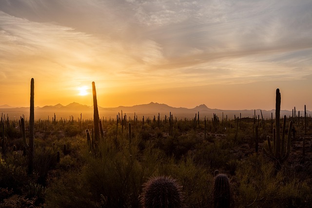 South Tucson