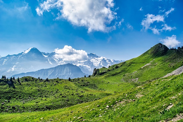 Star Valley