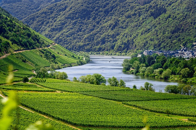 Star Valley