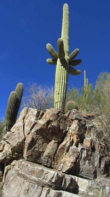 tucson-640x480-78952734.jpeg