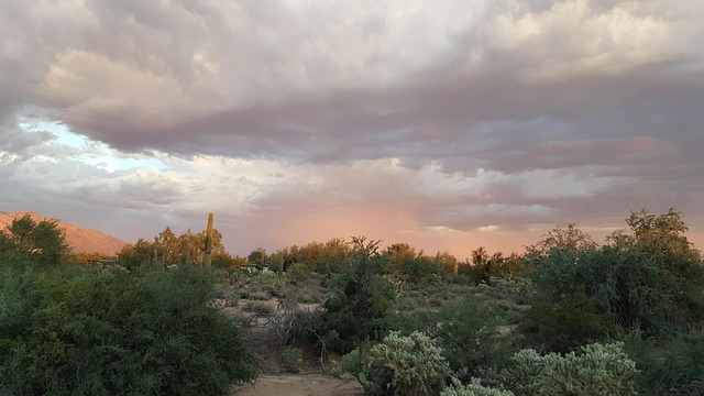 tucson-640x480-96243909.jpeg