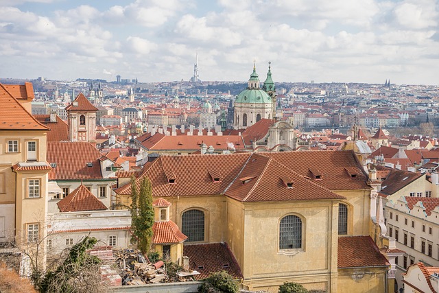 Observing Urban Migration: Real Estate Trends in Downtown Cores