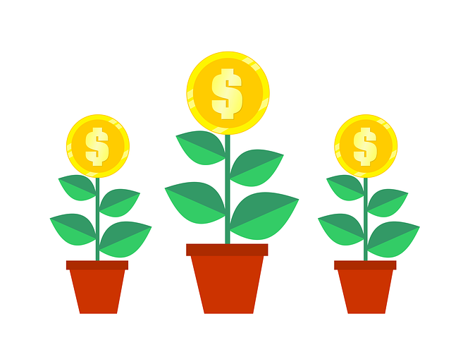 Debt-Income