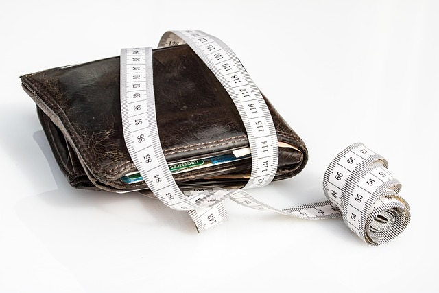 Debt-Income