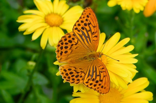 eco-landscaping-640x480-19861937.jpeg