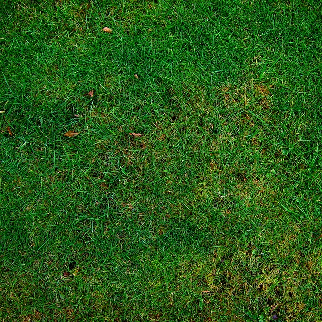 Eco-Landscaping