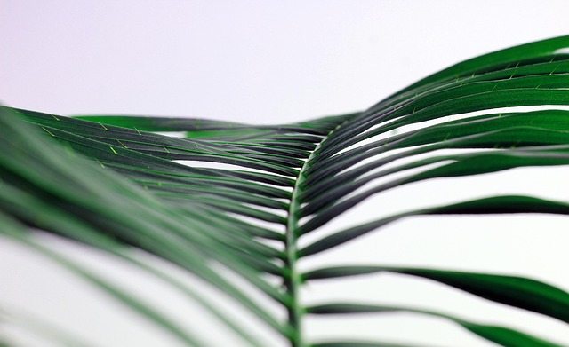 eco-landscaping-640x480-70379007.jpeg