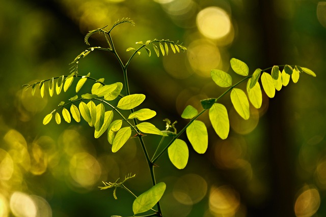 eco-landscaping-640x480-94357874.jpeg