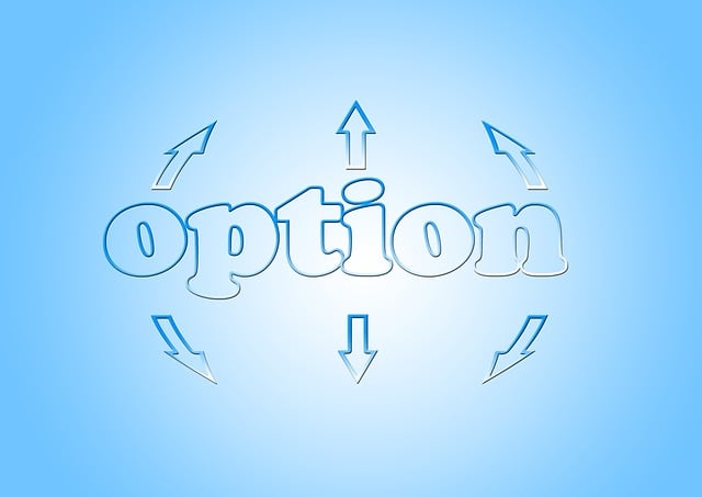 FSBO-Option