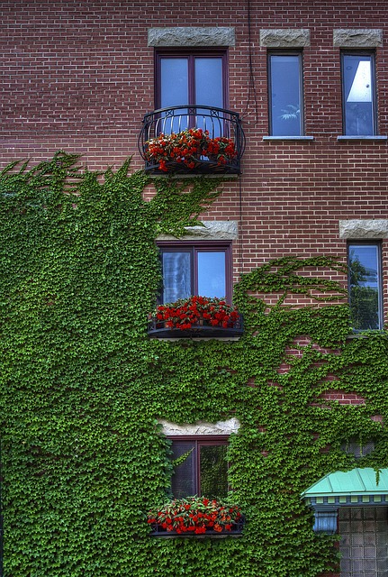 Green-Building
