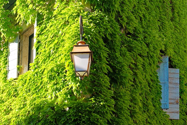 Green-Building