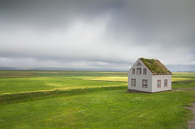 House-Flipping