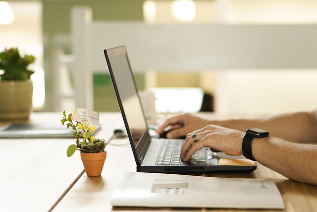 Online-Valuation