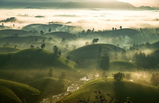 paradise-valley-640x480-3522429.jpeg