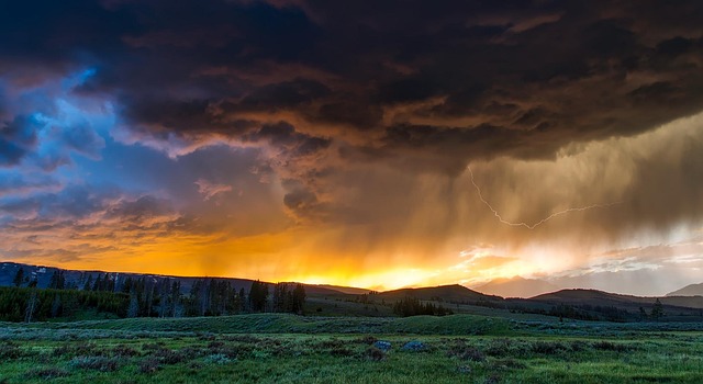 Paradise Valley