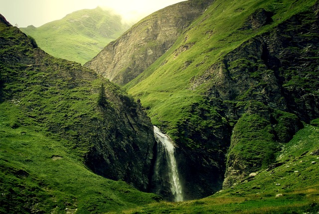 Paradise Valley