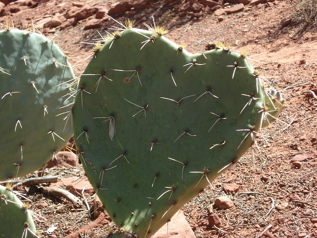 Sedona