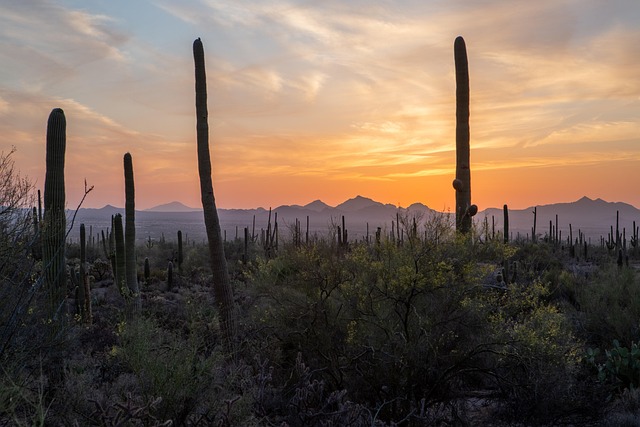 Tucson