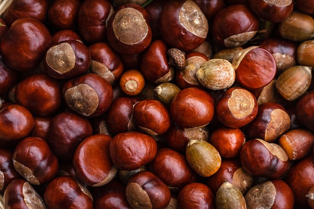 Buckeye