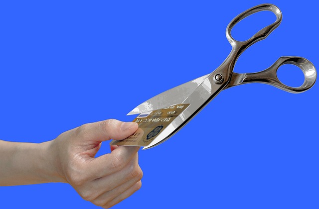 Credit-Scores
