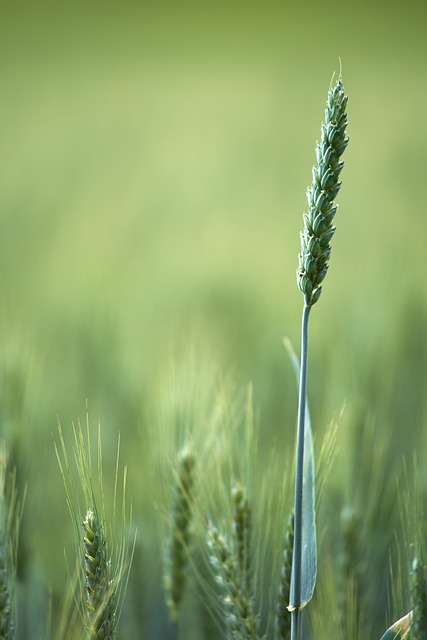 Green Real Estate: Lower Costs, Smaller Footprint