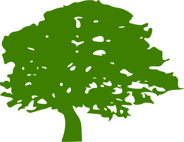 Eco-Landscaping