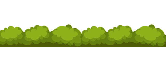 Eco-Landscaping