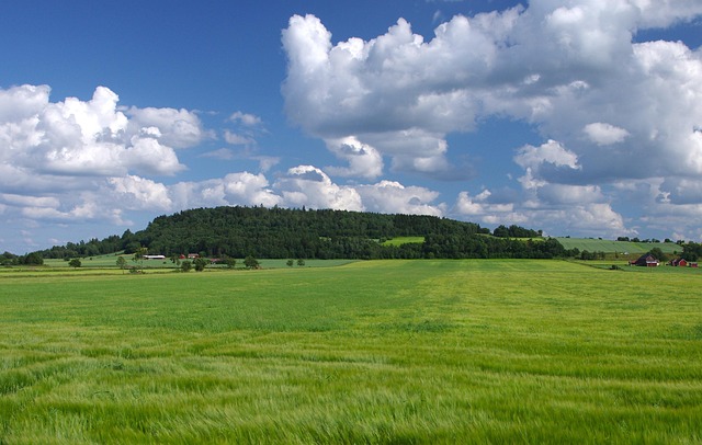 Green-Building